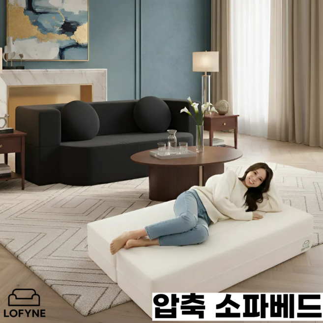 로파인 스타일리쉬 압축 침대소파 1인용 2인용 3인용 패브릭 인테리어 모던 심플 스타일 모듈 파우치 쇼파베드 소파베드 쇼파추천 거실, 블랙