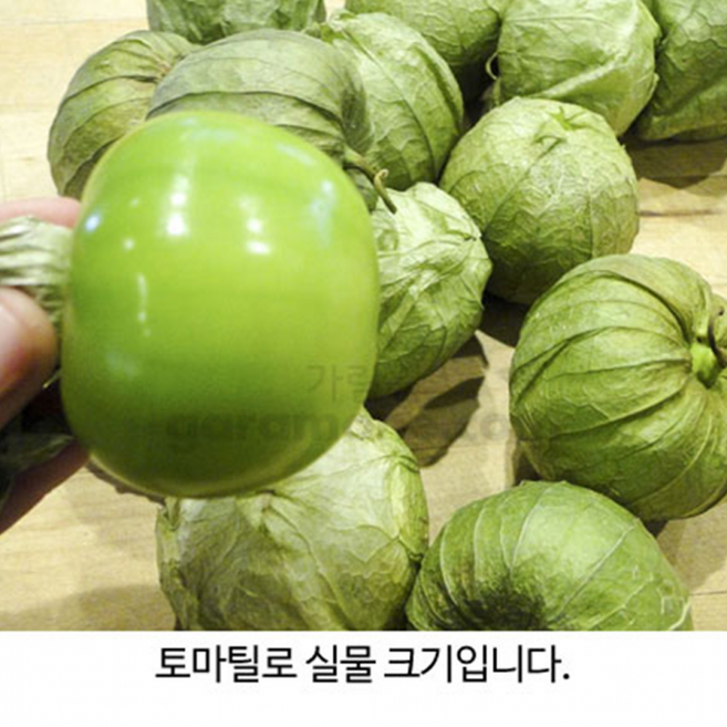 녹색 토마 티요 틸로 꽈리씨앗 50알 tomatillo seed, 1개