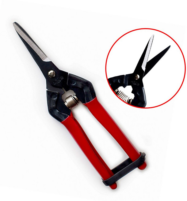 신성 적과가위(직선날) 전정 전지 원예 플로리스트 SB303, 10개