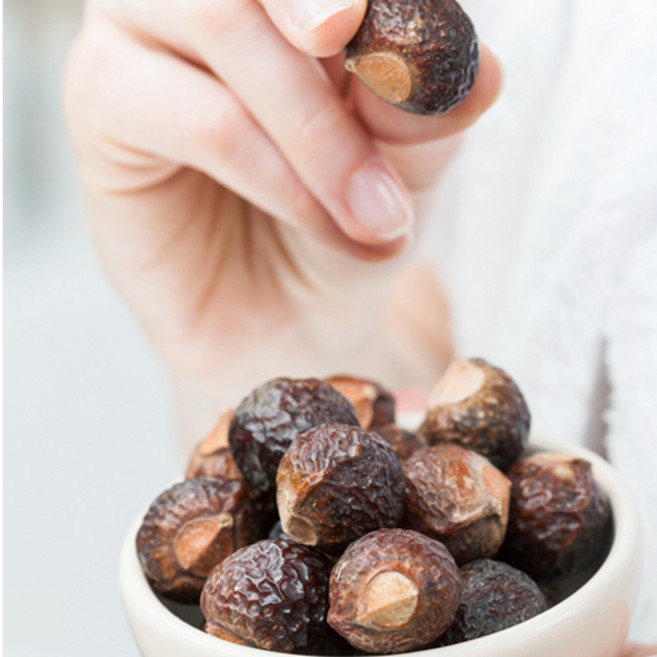 소프넛열매+거품망사+설명서(솝베리), 100g, 1개, 100g