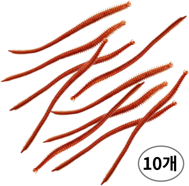 낚시 긴 지렁이 미끼 실리콘 비린내 나는 낚시미끼, 10개