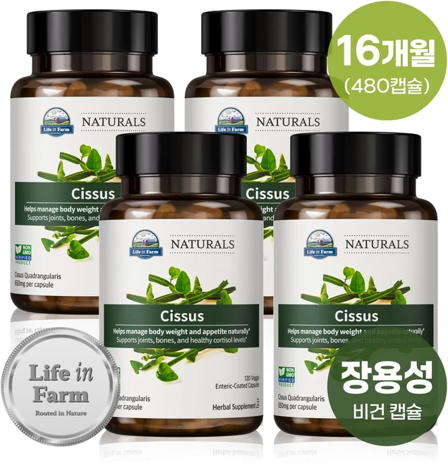 라이프인팜 시서스 100배농축 추출물 장용성 480비건캡슐 16개월분 시서스알약 가루, 4개, 120정 - 쿠팡