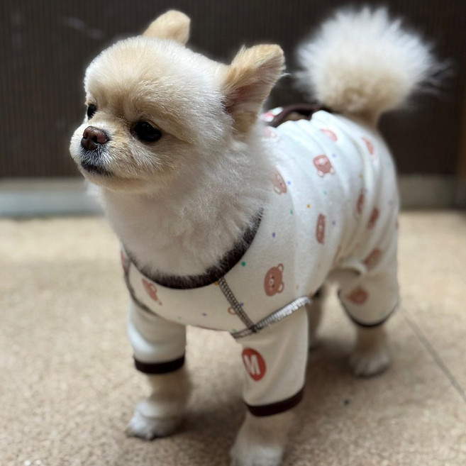 해피앤퍼피 강아지올인원 여자아이전용올인원 오가닉 등단추올인원 실내복 조끼, 브라운 등단추올인원 베어, 1개