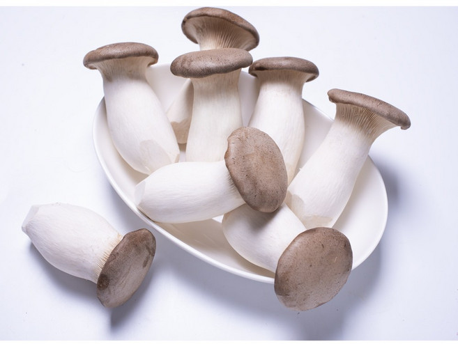 땐땐해서 더 맛있는 새송이 버섯2kg수확 발송, 1개, 새송이1kg 실속상품