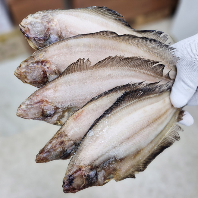 국내산 자연해풍 산지직송 반건조물가자미 손질 후포항한팩4~5미500g~550g내외, 1세트, 1세트4~5미 (25cm~30cm내외)