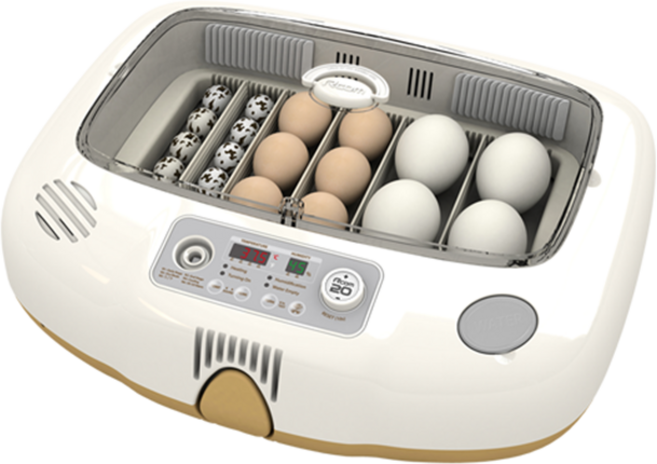 알콤20(MAX20)디오, 알콤(MAX20), 1개