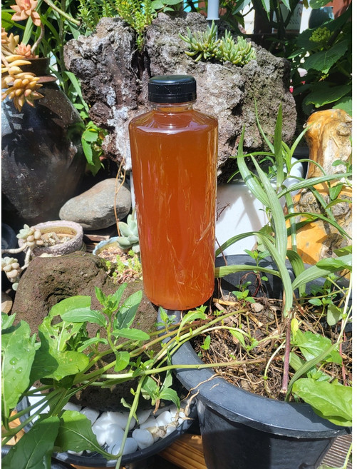 울릉도 자연산 돌배 효소, 1개, 1.3L