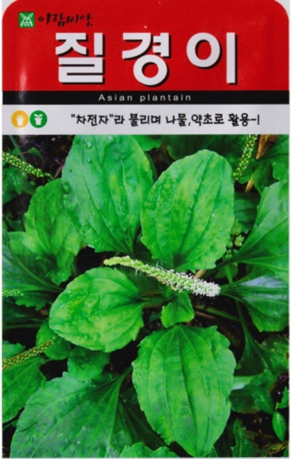 영농사 질경이 씨앗 2000립 차전자 질경이씨, 1개