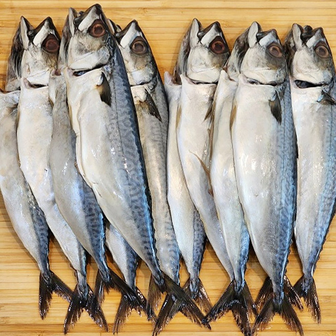 엄지척수산물] 국내산 부산 자반고등어(손질), 1개, 12미(1.7kg~2.3kg내외)