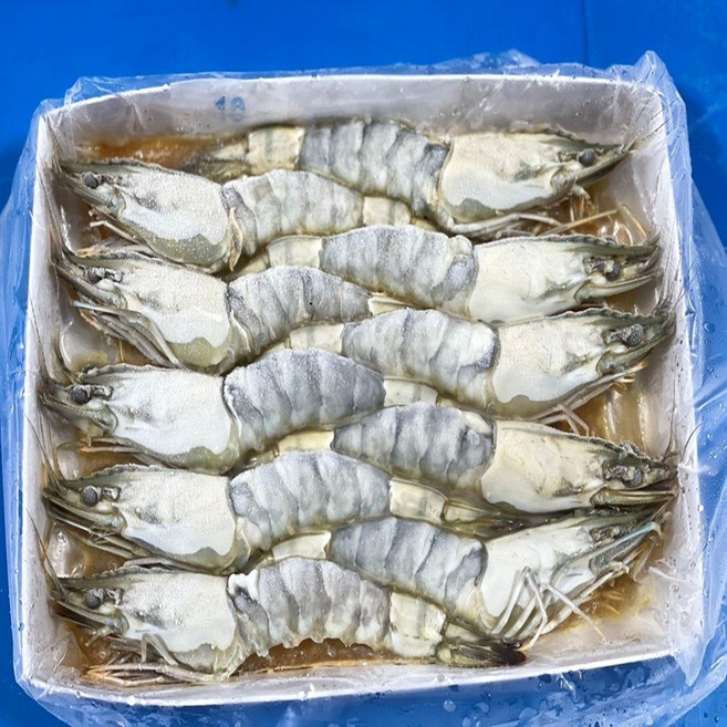 모조나인 블랙타이거 몸통 껍질벗긴 새우 10미, 1개