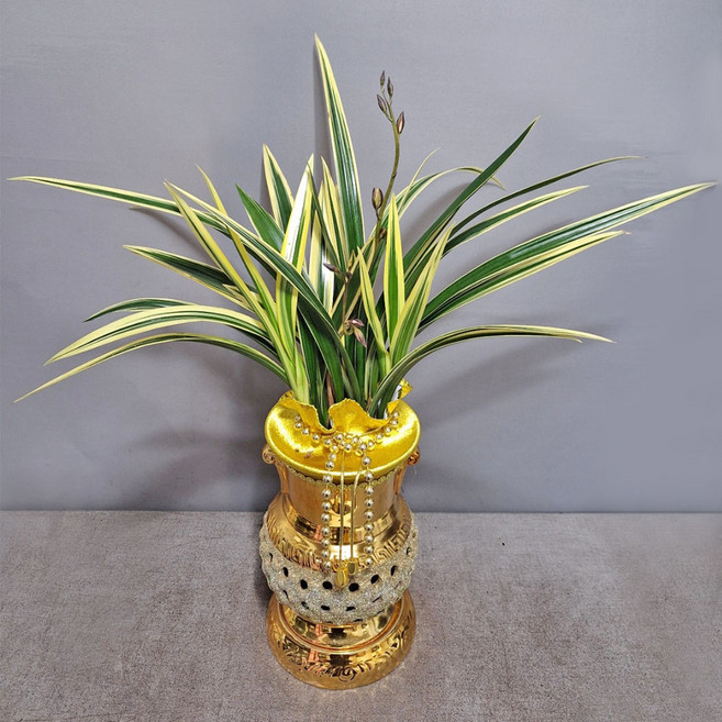 꽃썸플라워 동양란 고급난 [당일배송] 승진 영전 개업 축하난 황금일향(황금투각), 1개