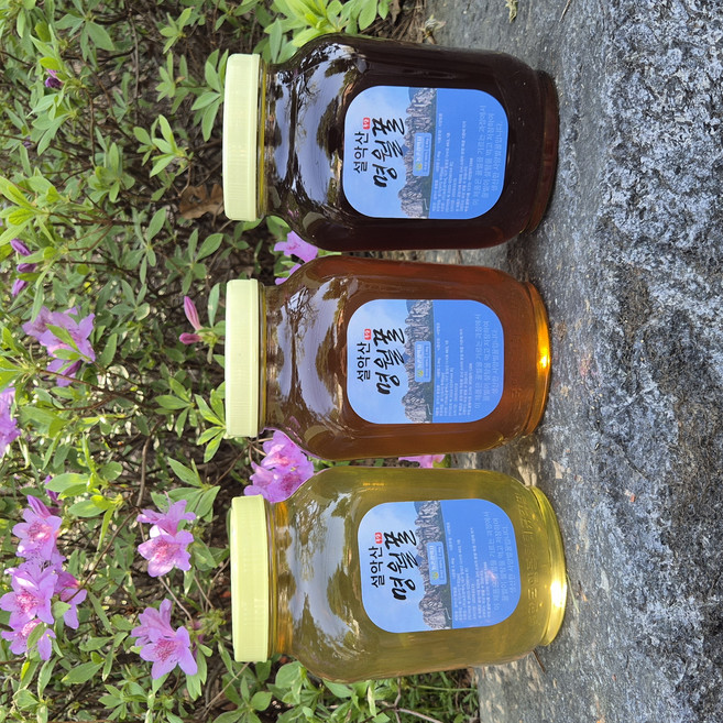 오프라인 최고인기 100%국산 설악산 명월 밤 벌꿀 2.4키로, 2.4kg, 1개