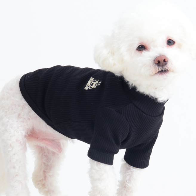 독스랩 강아지 옷 폴라티 골지 티셔츠 겨울옷 실내복, 1개, 블랙