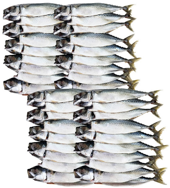 해물총각 간고등어 1박스 국내산 자반고등어, 8.5kg(40마리), 1개
