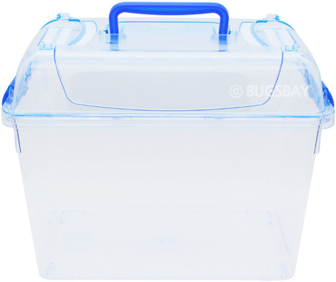 BUGSBAY 클린블루 사각케이스, 1개