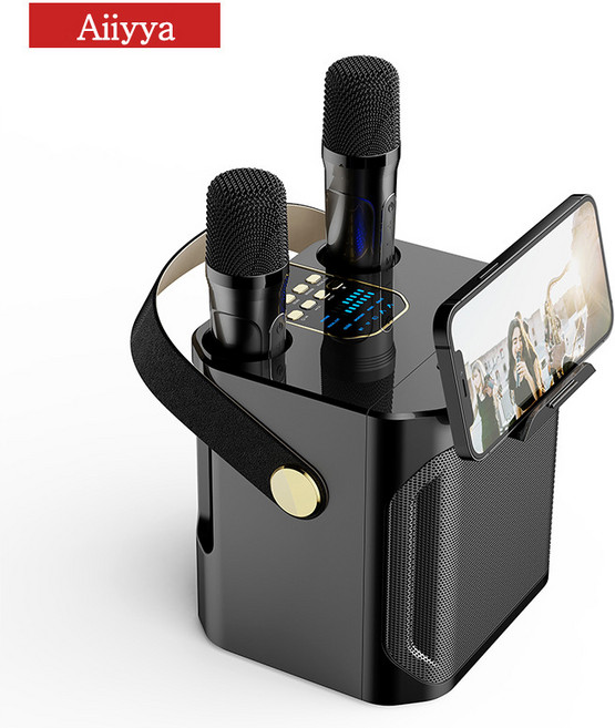 Aiiyya 아웃도어 전용 블루투스 노래방 듀얼마이크 일체형 대음량 스피커 휴대용 가정용 차박 캠핑, 블랙