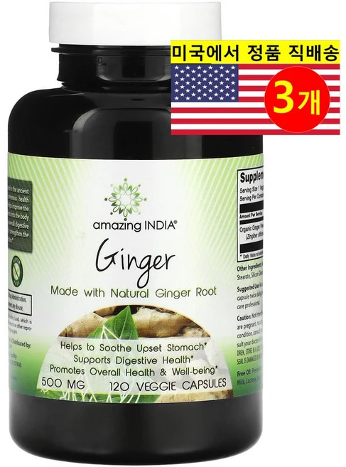 Amazing India 생강 추출 500mg Ginger, 3개, 120정 - 쿠팡