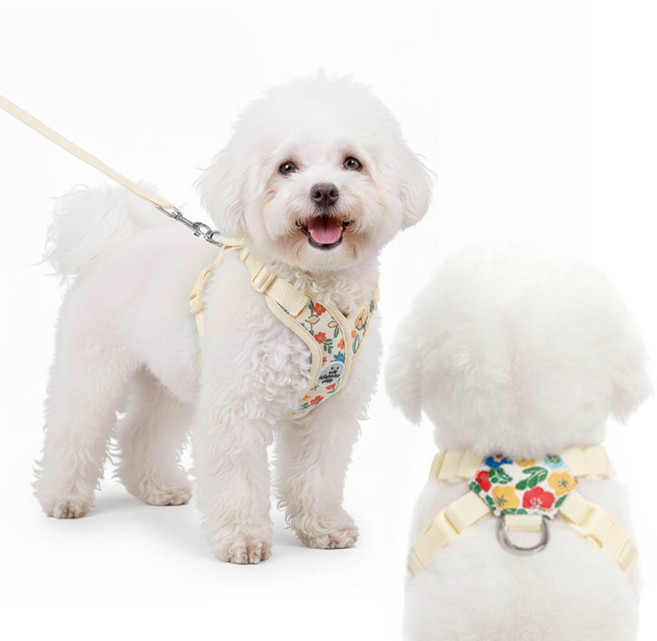 견행묘행 강아지 꽃무늬 하네스 목줄 리드줄, 1개, 아이보리