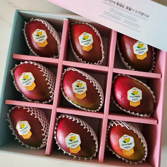 실패없는 애플망고 항공수입100% 고당도, 애플망고 3.6KG내외 [9과] 선물용, 1개