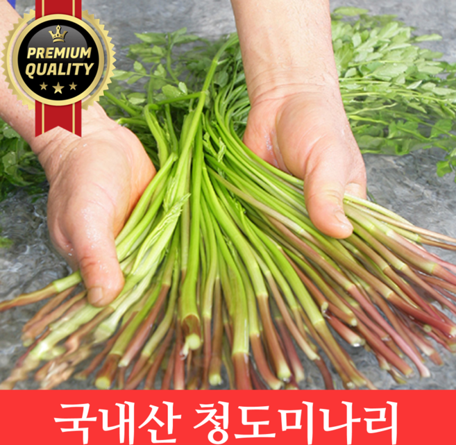 [판매량1위] 향긋한 국내산 청도미나리 특품, 1개, 1kg