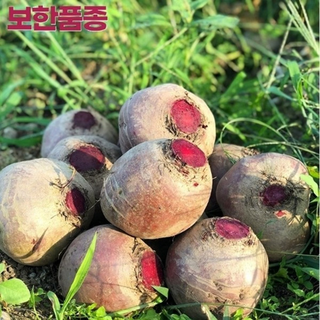 케이엠푸드 [SW] 제주도 레드비트(정품)3kg, 1박스, 3kg