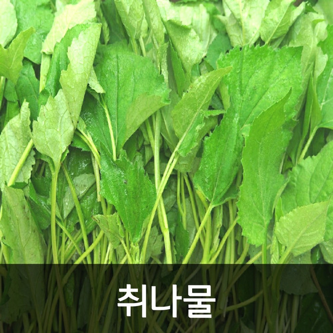 약수농장 국내산 생취나물 4kg, 1개