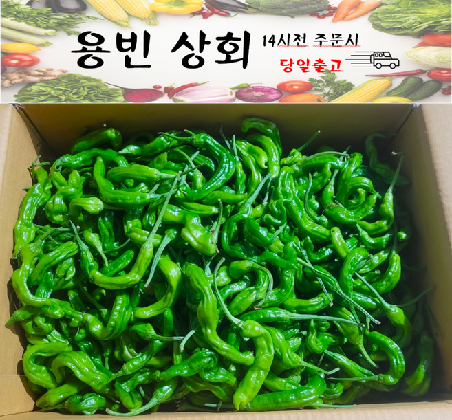 ( 용빈 상회) 국내산 꽈리고추 못난이 상등급 1kg 2kg 4kg내외, 1박스, 4KG