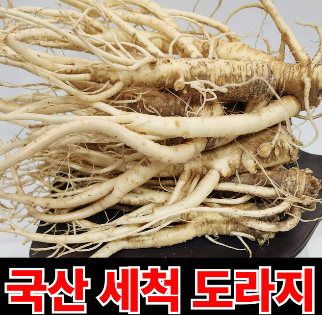 [단하루특가 국산 도라지 세척도라지, 1박스, 1kg_실속