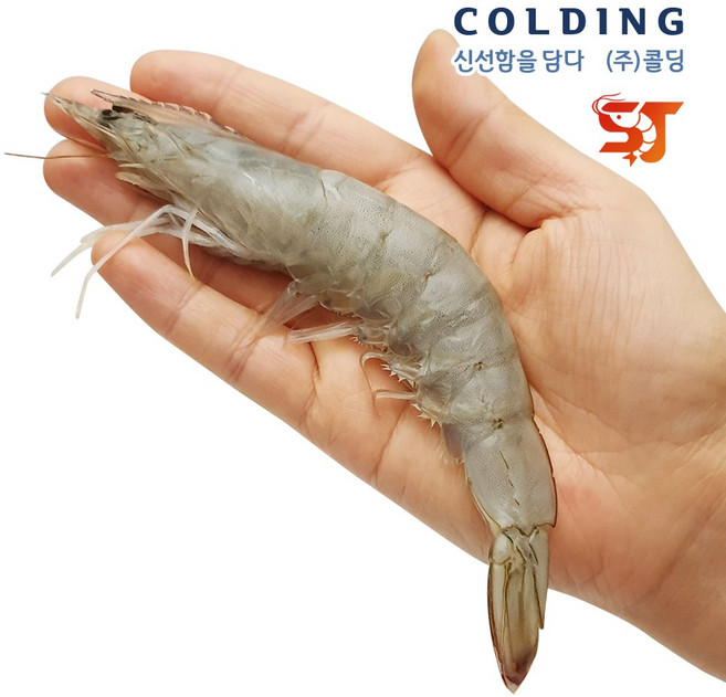 콜딩 에콰도르 페루 사우디 흰다리새우 2kg 냉동대하 간장새우 대하구이, 에콰도르 2kg 50/60 (110미 내외), 1개