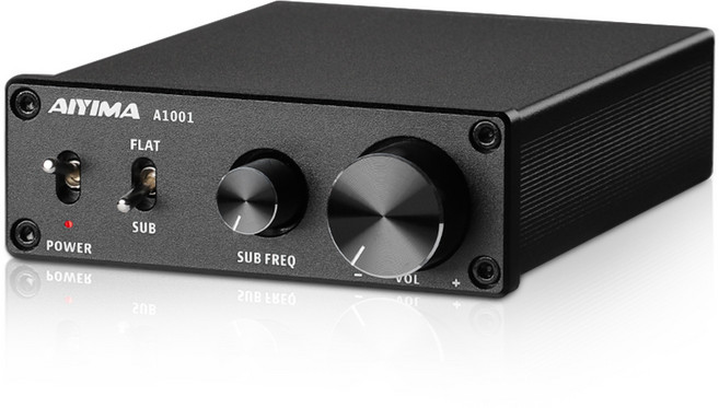 AIYIMA A1001 서브우퍼 앰프 가정용 오디오 AMP 100W 모노 디지털 파워 앰프 스피커 사운드 앰프 업그레이드 TPA3116, Only Amplifier