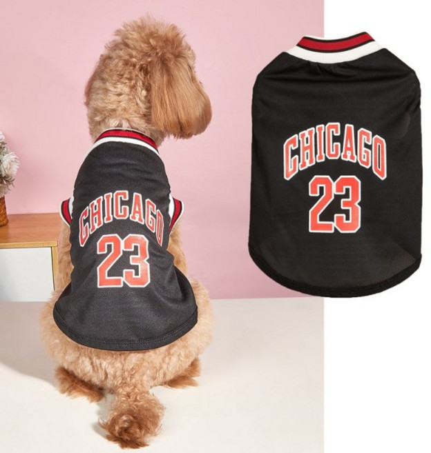 랜보어 중대형견 시카고 메쉬 티셔츠, 블랙, 1개