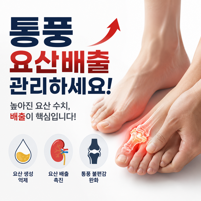 통한정 남성 여성 요산배출 관리 풍수치 퀘르세틴 영양제 좋은, 1개, 60정