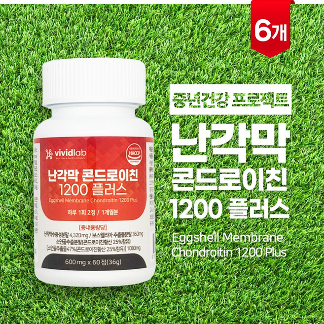 비비드랩 난각막 콘드로이친 1200 플러스 콘드로이친황산 함유, 6개, 60정