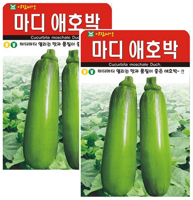 마디애호박 씨앗 애호박 씨앗 종자, 2개