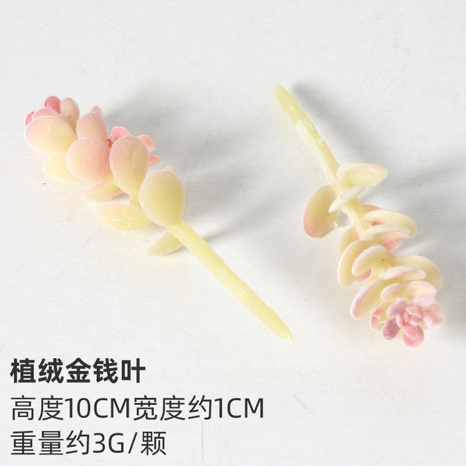 仿真多肉植物 盆栽 裝飾 陽台 室內布置, 1個, 金錢葉絨質