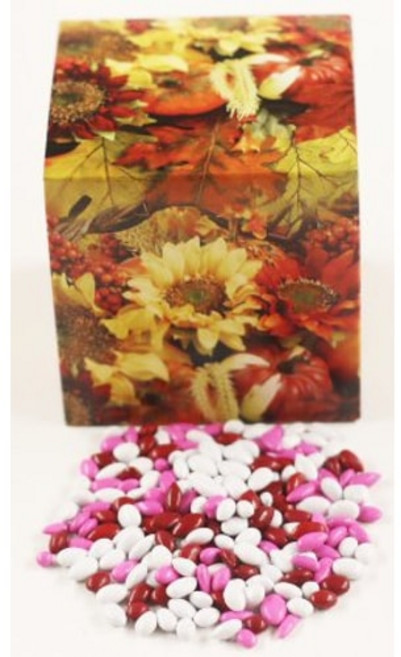 스콧츠 케이크 발렌타인 데이 믹스 초콜릿 덮인 해바라기 씨앗 Scott's Cakes Valentine's Day Mix Chocolate Covered Sunflower Seed, 453.59g, 1개, 발렌타인 초콜릿 해바라기 씨앗, Square Fall Leaf Box