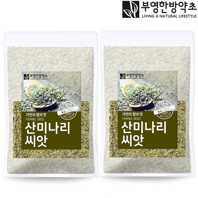 부영한방약초 산미나리씨앗 (회향) 500g 펜넬차, 2개, 1개입