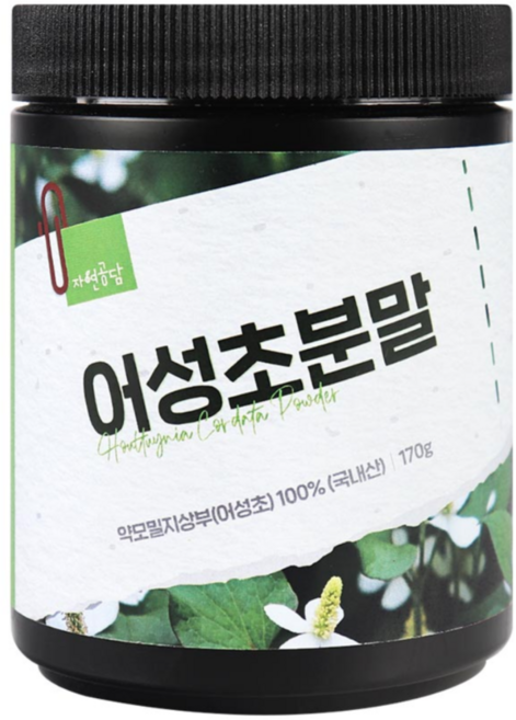 두손애약초 어성초분말, 170g, 1개