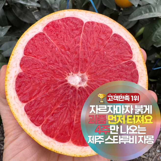 삼시세끼연구소 초신선 제주 자몽 레드자몽 특대과 자몽청용 스타루비, 1박스, 2kg(실중량 1.5kg)
