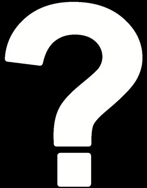 夥伴玩具 變種吉娃娃2 盒玩 公仔, 1個, 盲盒全新未拆，隨機一款