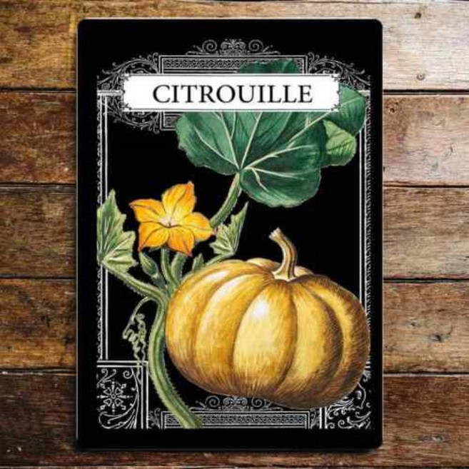 Citrouille 호박 주방 금속 사인 정원 씨앗, 01 20x14cm