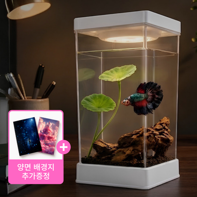 마일스톤마켓 베타어항 배경지 세트 데스크 미니 LED 열대어 구피, 1개, 흰색