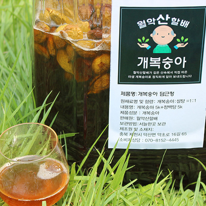 제천 월악산 개복숭아 담금청 10kg (개복숭아5kg + 설탕5kg) 개복숭아담근청 돌복숭아 2025년담금, 1세트