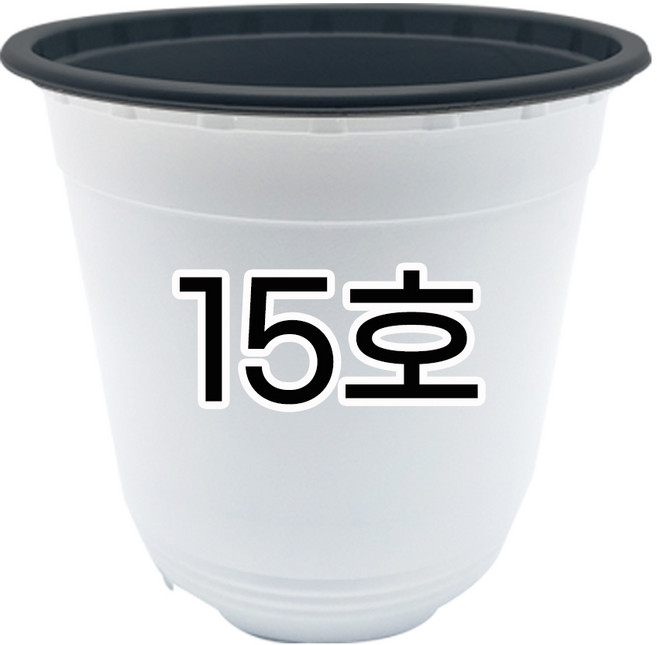 모두다 모종화분 초화화분 연질화분 이색포트 15cm 국내제조, 이색포트(백색), 10개