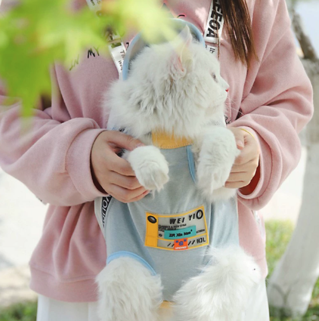 인텔리펫 강아지 포대기 뉴버젼, 1개, 라이트 블루