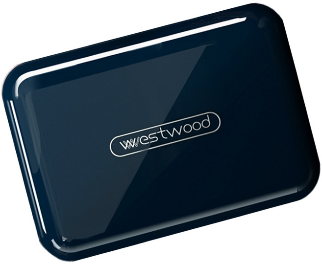 모노치 투톤 UP 휴대용 알약 케이스, 사파이어핑크 6칸, 1개