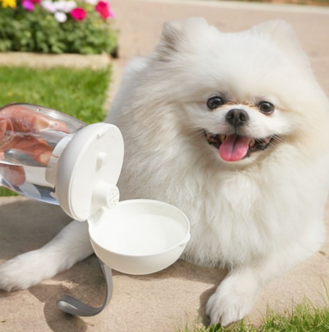 휴대용 반려동물 물병 강아지 이동식 외출용 애견산책 물 공급기, 1개, 화이트 버섯모양 300ml