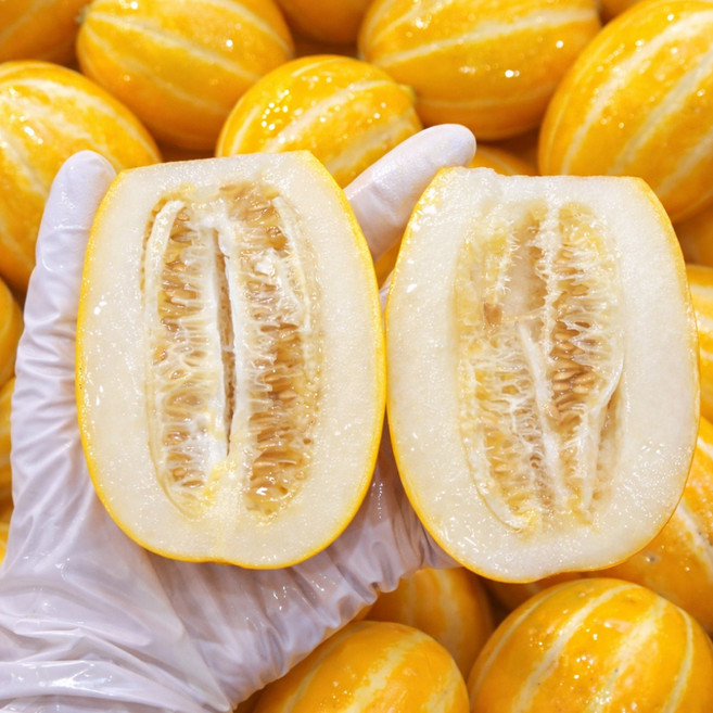 [재구매1위]아삭달콤 당도높은 황금밭 성주 꼬마참외, 1박스, 가정용 3kg