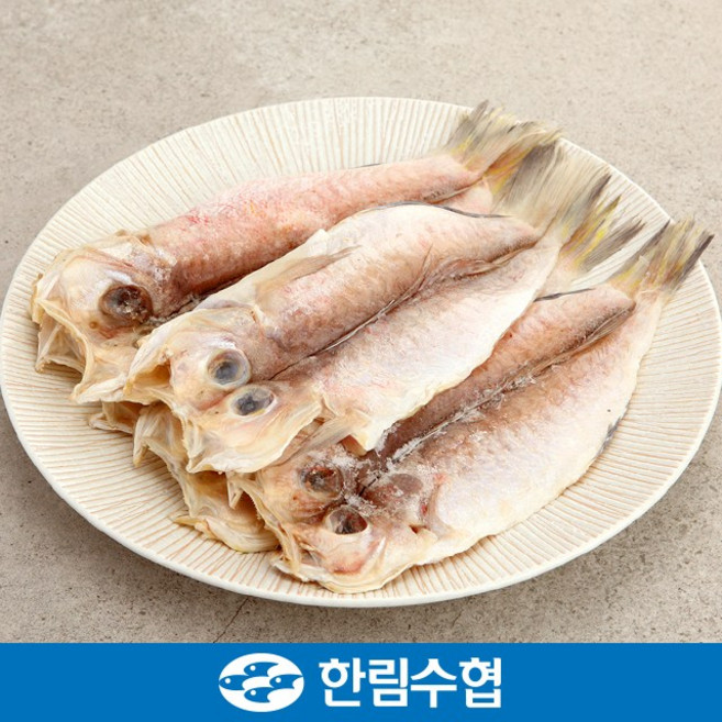 제주 한림수협 실속 제주 옥돔 1kg(9~12미 내외)
