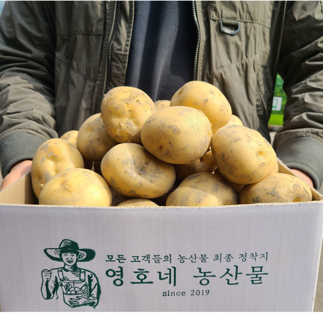 2021년 수확한 맛있는 하우스 햇감자 수미감자 타박감자, 중사이즈(조림/통구이용), 3kg, 1개